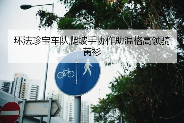 环法珍宝车队爬坡手协作助温格高领骑黄衫
