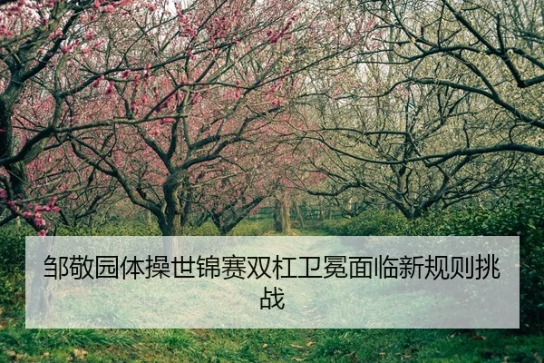 zou-jing-yuan-ti-cao-shi-jin-sai-shuang-gang-wei-mian-mian-lin-xin-gui-ze-tiao-zhan-2-541.jpg