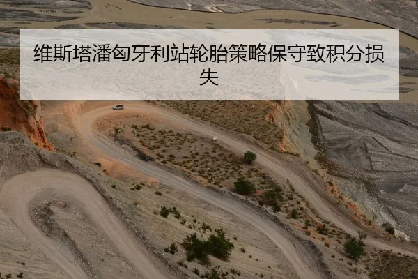 维斯塔潘匈牙利站轮胎策略保守致积分损失