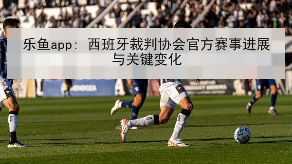 乐鱼app: 西班牙裁判协会官方赛事进展与关键变化